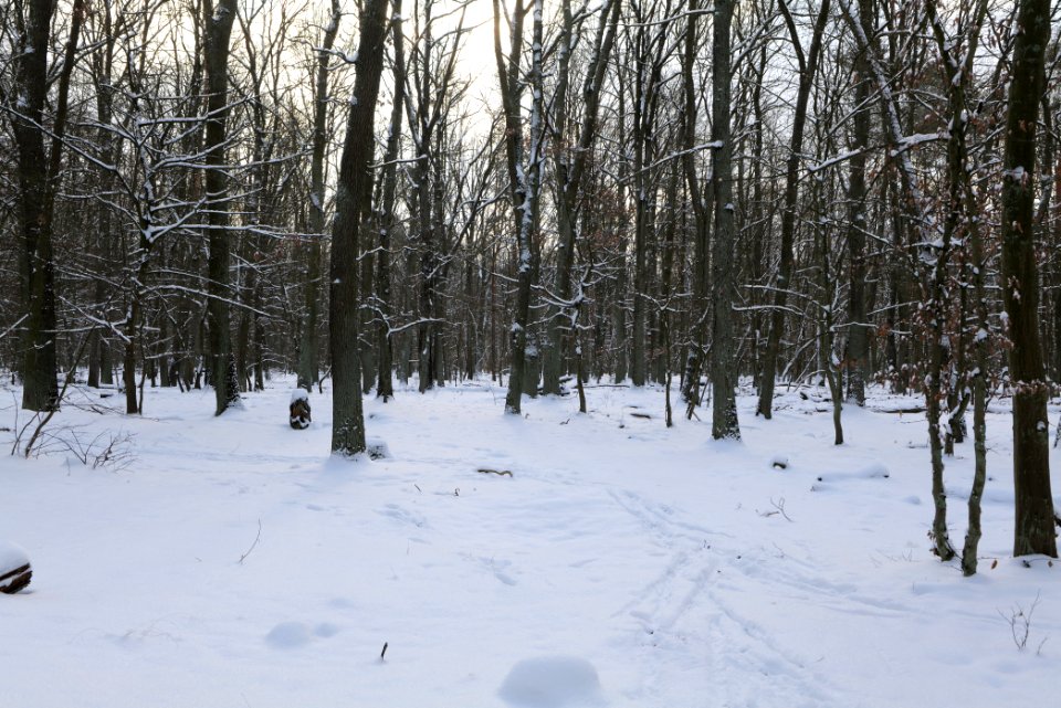 East of the Spandauer Forst with snow 2021-02-10 10