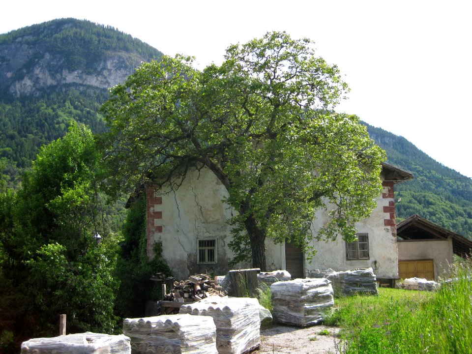 Ebner in Eich 1