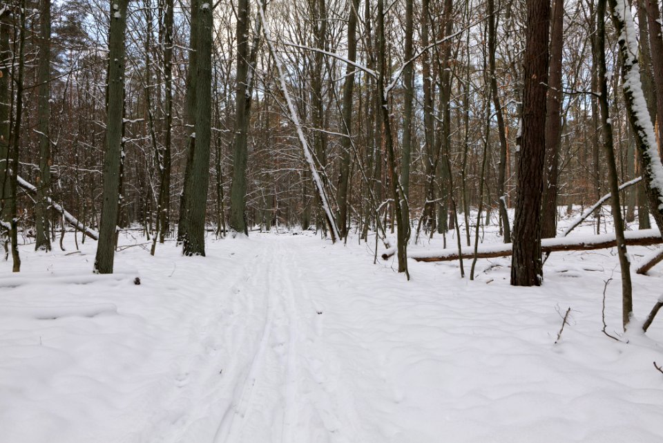 East of the Spandauer Forst with snow 2021-02-10 19