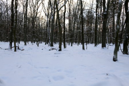 East of the Spandauer Forst with snow 2021-02-10 11