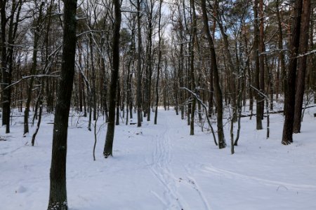 East of the Spandauer Forst with snow 2021-02-10 08