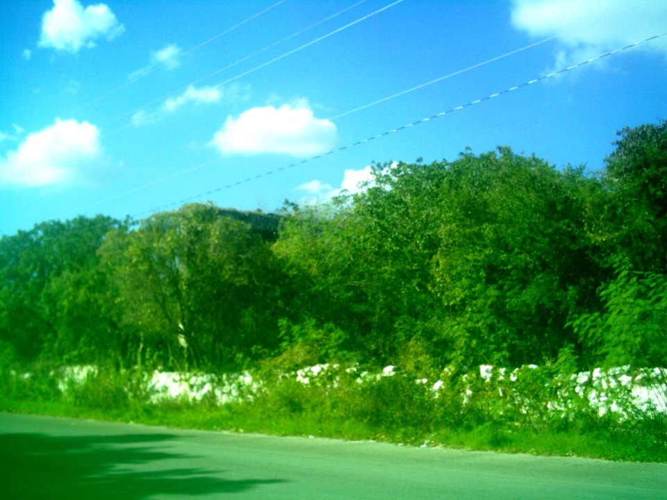 Dzibilchaltún, Yucatán (08)