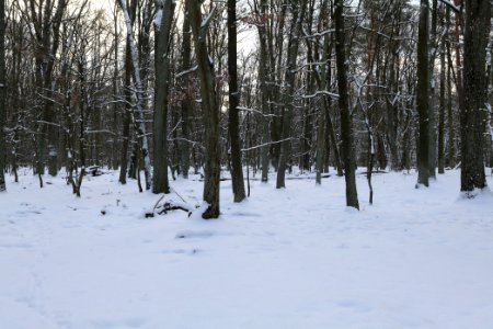 East of the Spandauer Forst with snow 2021-02-10 12