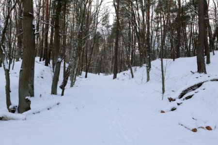 East of the Spandauer Forst with snow 2021-02-10 14