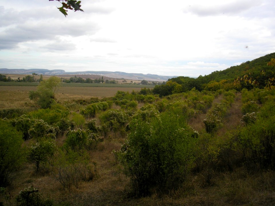 Dzhangarel