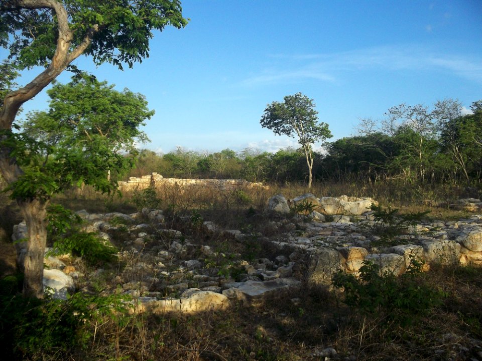 Dzonot Xanilá, Yucatán (03)
