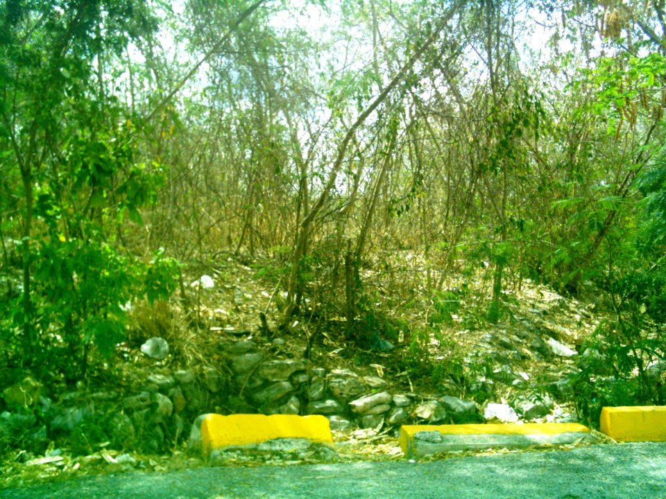 Dzoyilá, Yucatán (10)