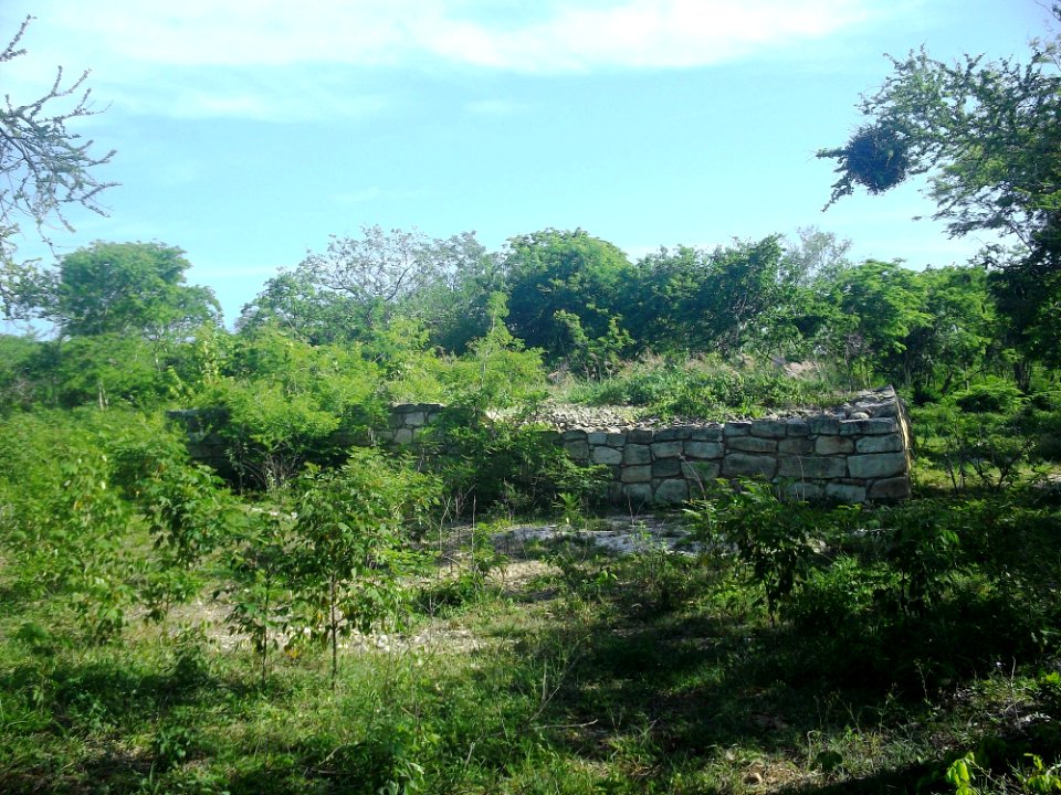 Dzonot Xanilá, Yucatán (11)