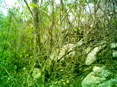 Dzoyilá, Yucatán (06)