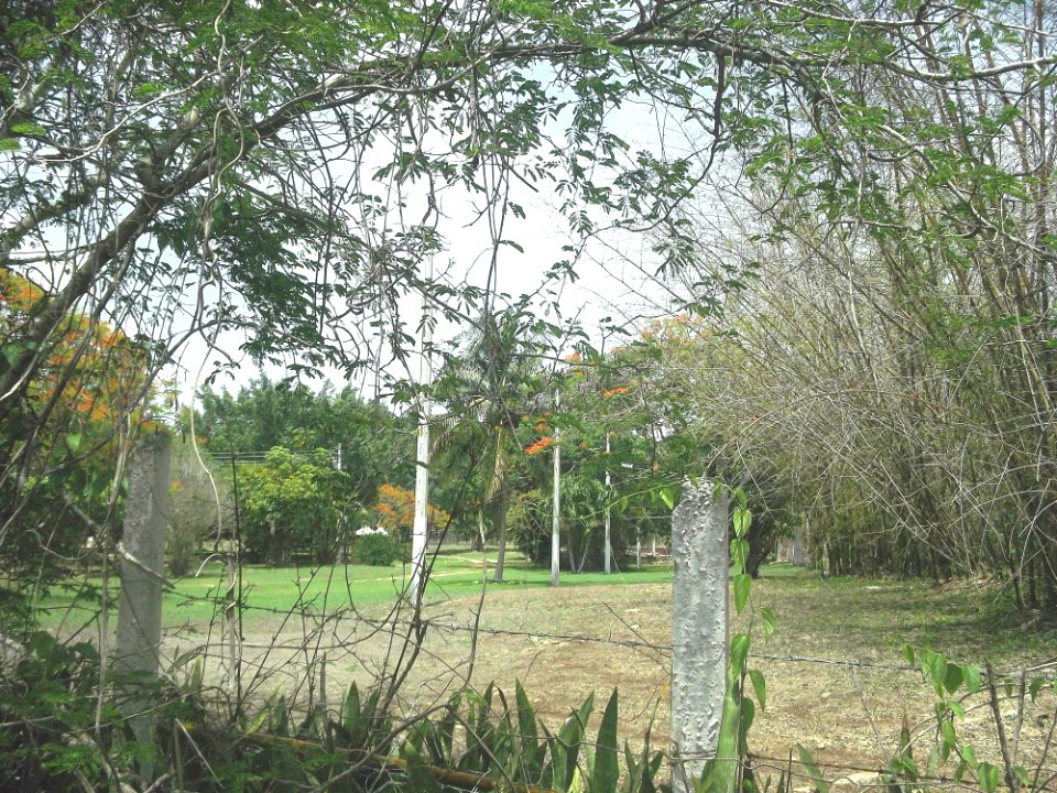 Dzoyolá (Kanasín), Yucatán (03)