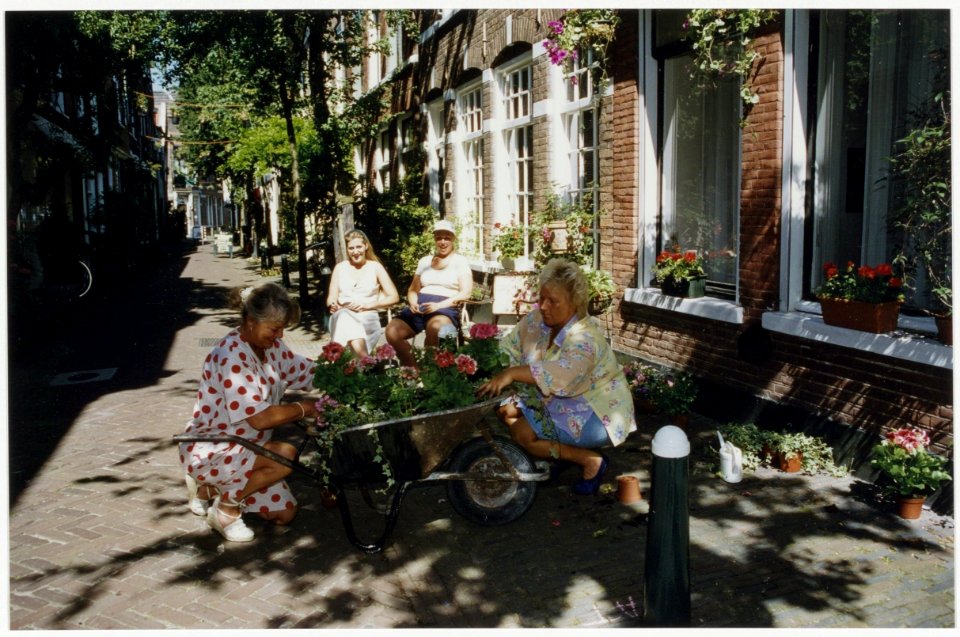 Eén van de geveltuintjes langs de groenste route van Haarlem, van Schalkwijk naar tuincentrum BakkerMyriantha. NL-HlmNHA 54036066