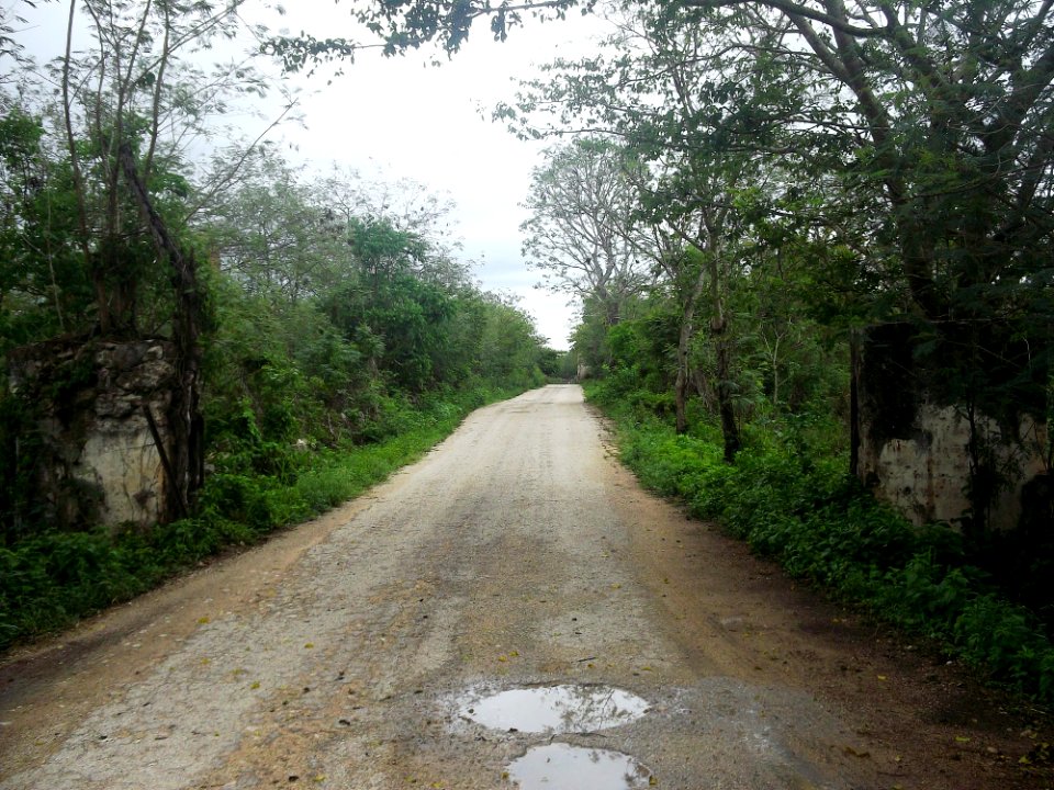 Dziuché (Hoctún), Yucatán (06)