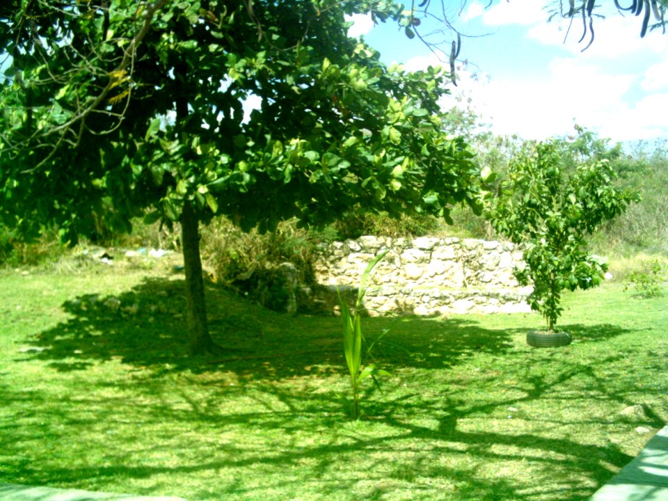 Dzoyilá, Yucatán (11)