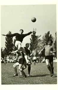 E.D.O. NL-HlmNHA 5400465618