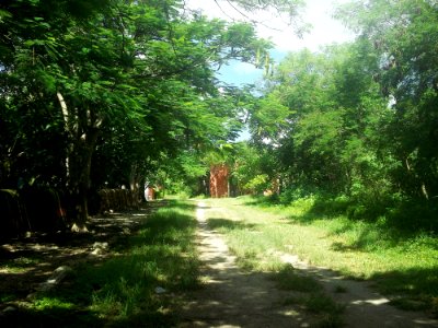 Dziná, Yucatán (11)