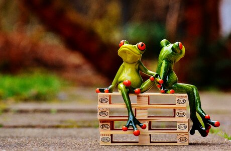 Frogs euro pallets rest
