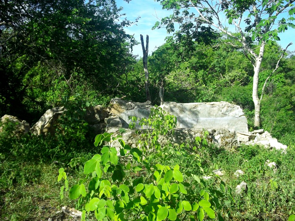 Dzonot Xanilá, Yucatán (23)