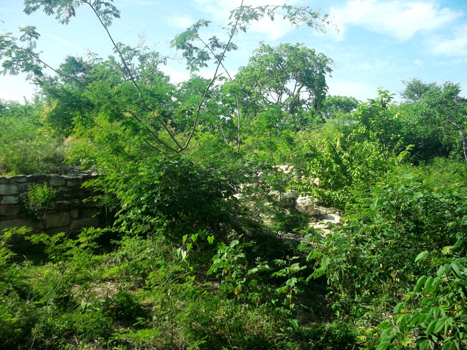 Dzonot Xanilá, Yucatán (17)