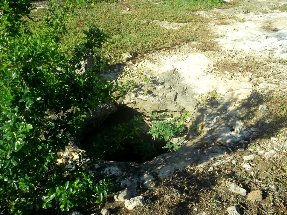 Dzonot Xanilá, Yucatán (28)