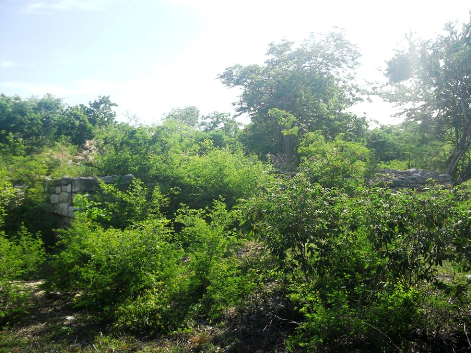 Dzonot Xanilá, Yucatán (20)