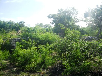 Dzonot Xanilá, Yucatán (20)