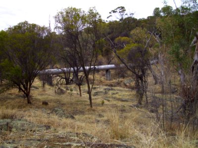 E37 Clackline Lion Park - Goldfields pipeline photo