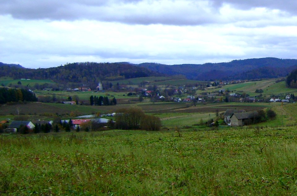Dzikowiec