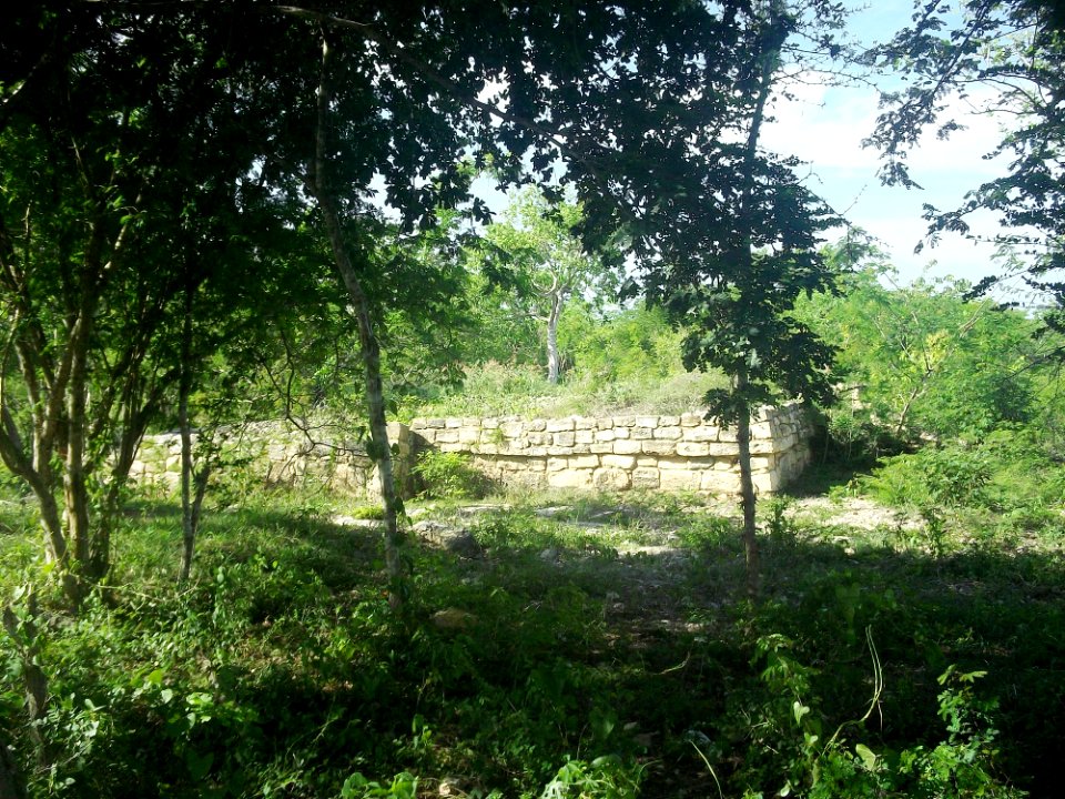 Dzonot Xanilá, Yucatán (16)
