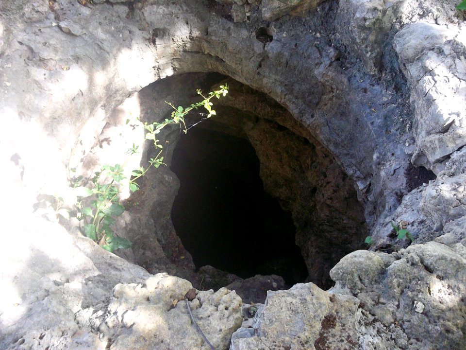 Dzonot Xanilá, Yucatán (32)