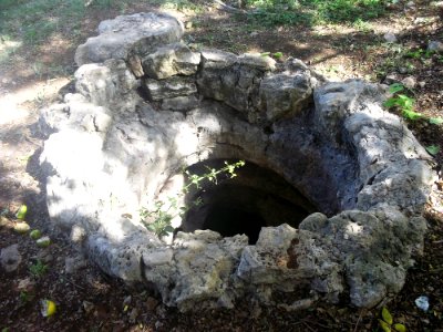 Dzonot Xanilá, Yucatán (31)