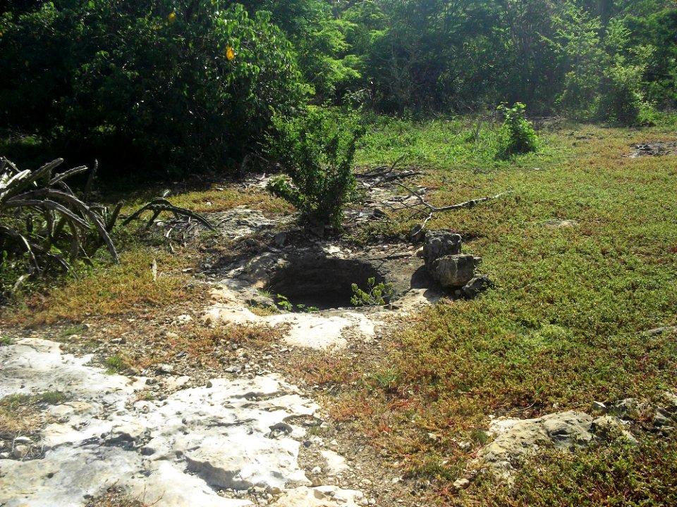 Dzonot Xanilá, Yucatán (29)