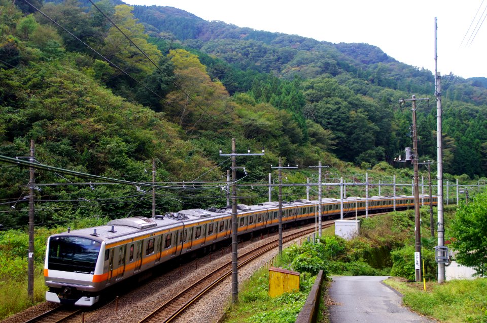 E233 shuttle service