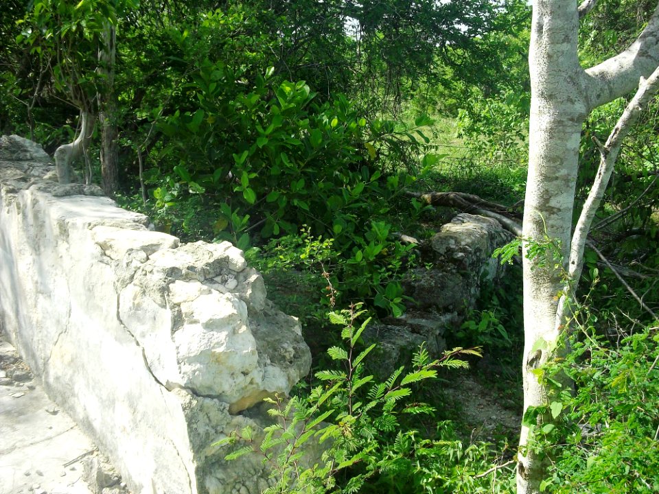 Dzonot Xanilá, Yucatán (26)