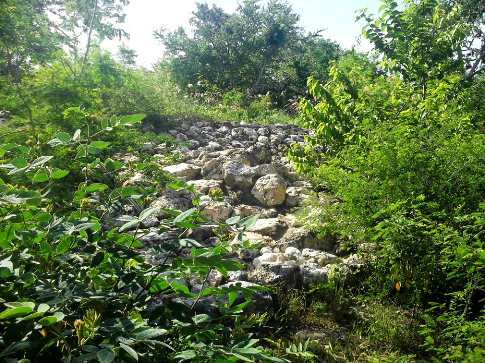 Dzonot Xanilá, Yucatán (18)