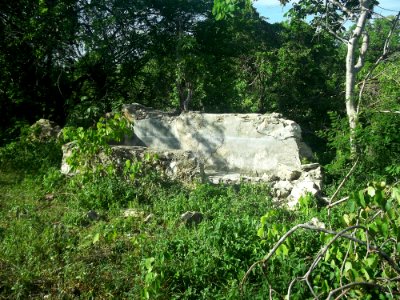 Dzonot Xanilá, Yucatán (24)