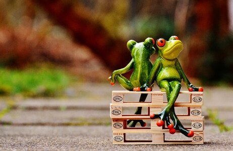 Frogs euro pallets rest
