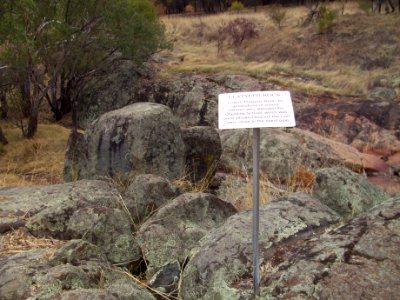 E37 Clackline Lion Park - Platypus Rock with sign
