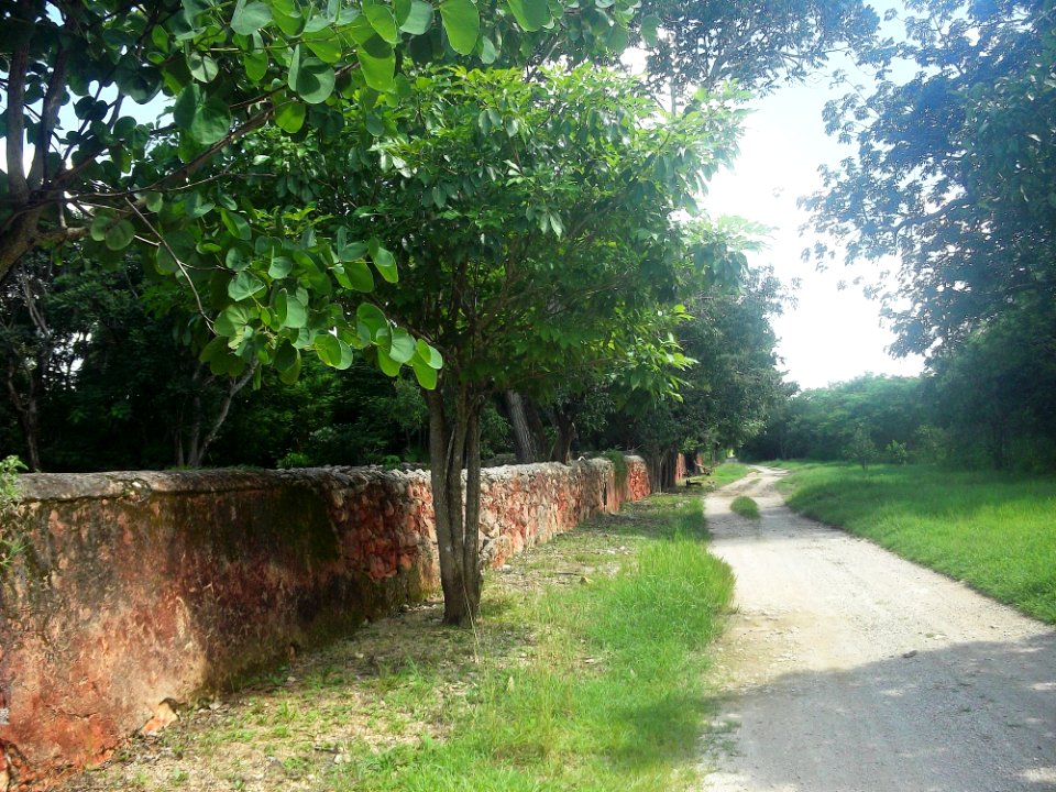 Dziná, Yucatán (09)