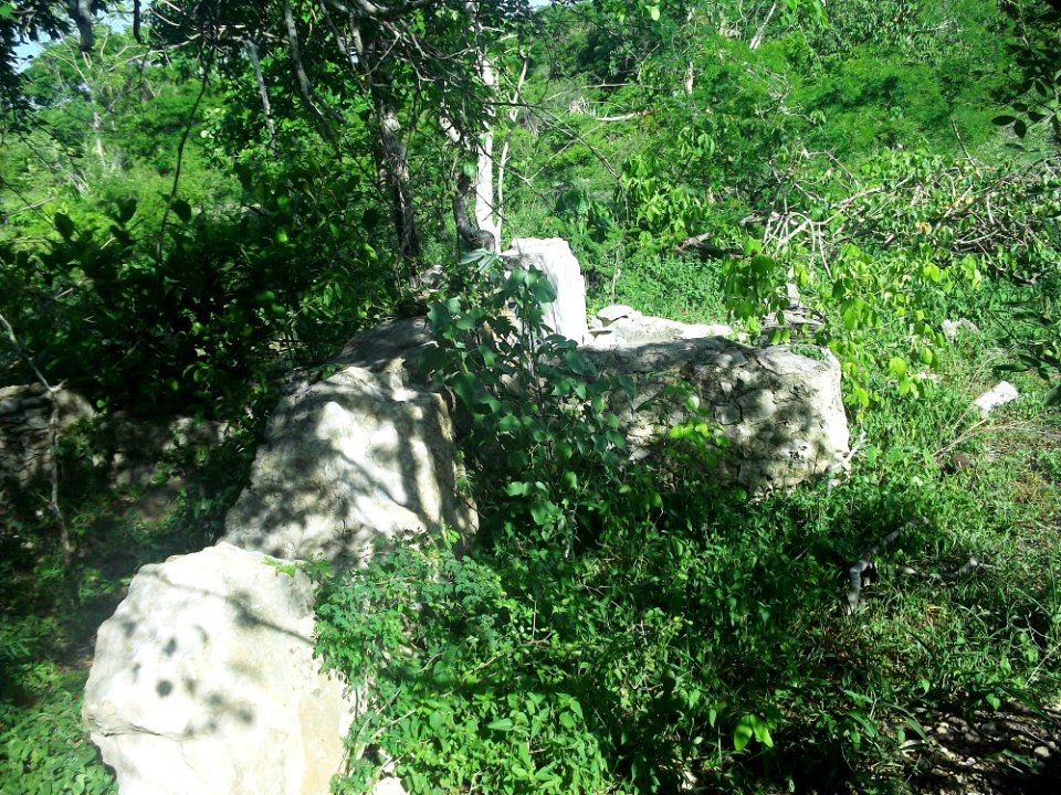 Dzonot Xanilá, Yucatán (22)