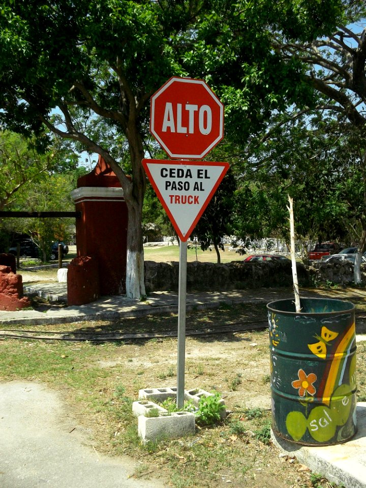 Dzoyaxché (Mérida), Yucatán (04)