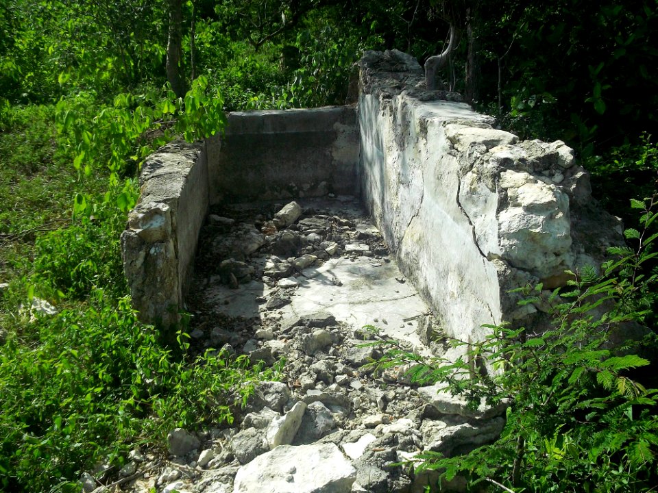 Dzonot Xanilá, Yucatán (25)