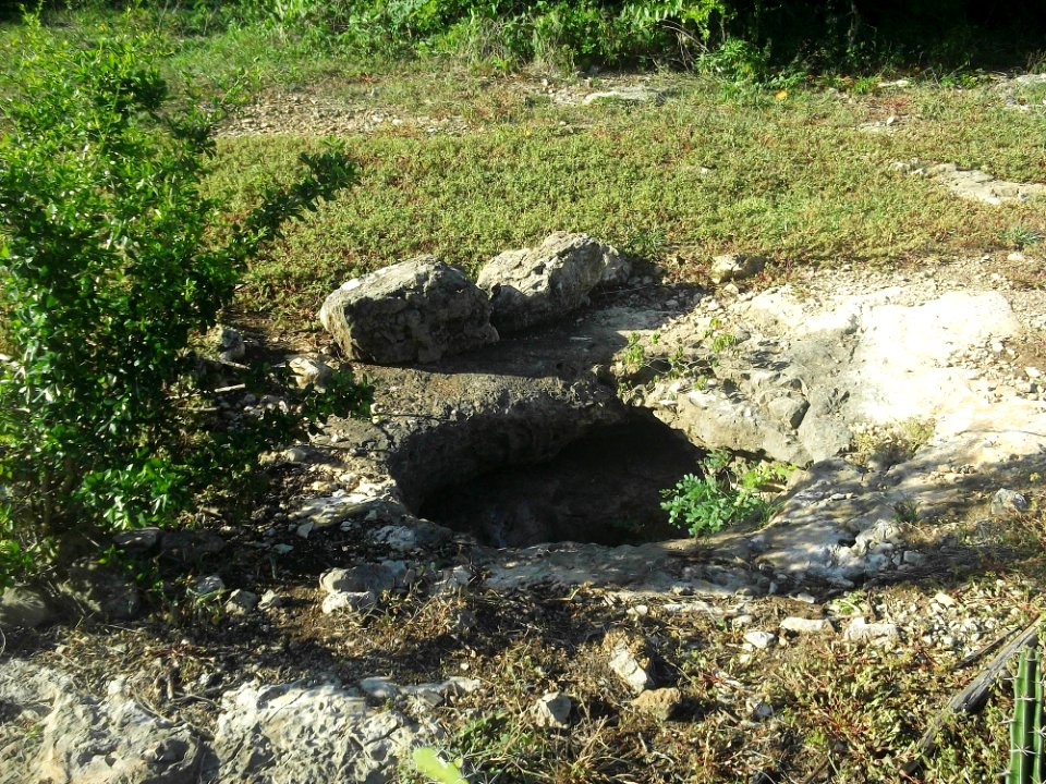 Dzonot Xanilá, Yucatán (27)