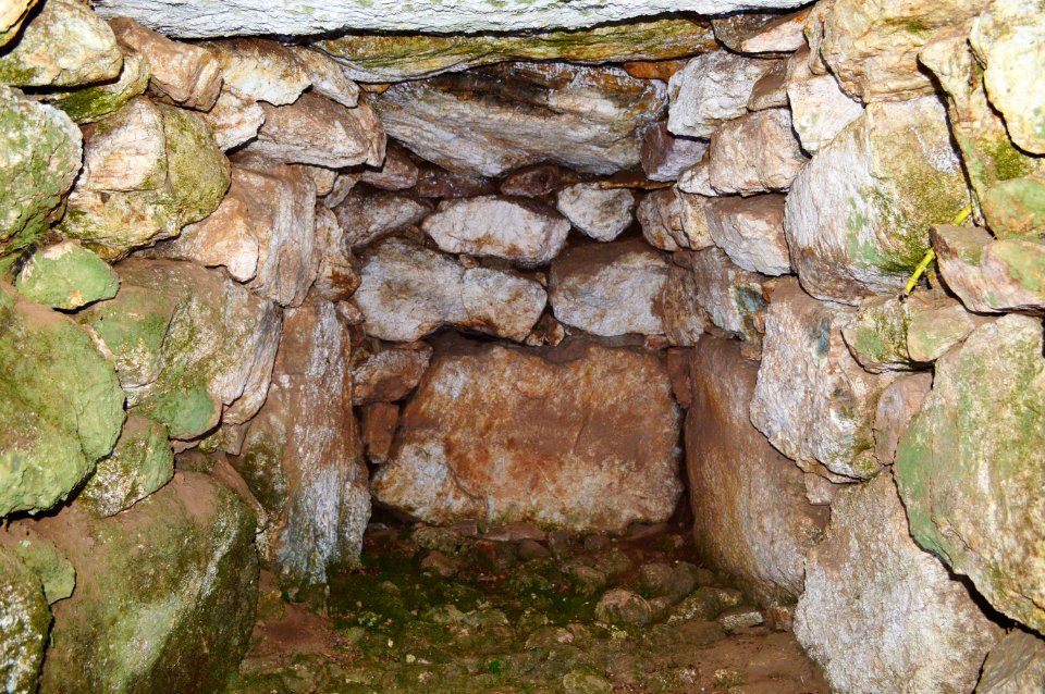 Edagawa Kofun Group-1, genshitsu-1