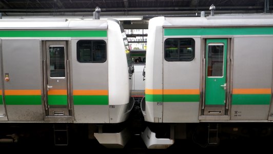 E231 E233 coupling