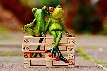 Frogs euro pallets rest