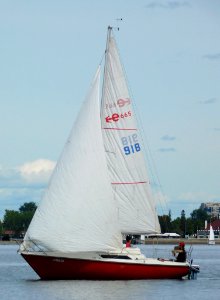 Edel 665 sailboat 2683