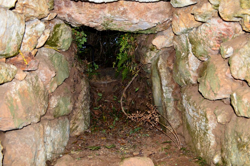 Edagawa Kofun Group-1, genshitsu-2