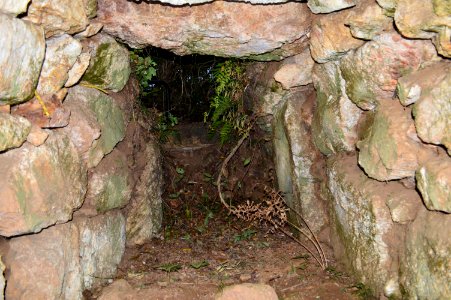 Edagawa Kofun Group-1, genshitsu-2