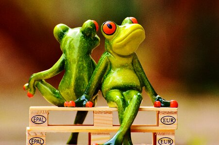 Frogs euro pallets rest