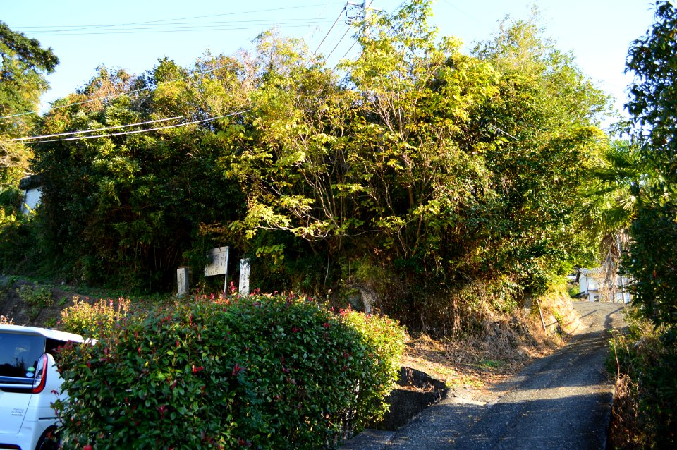 Edagawa Kofun Group-2, enkei
